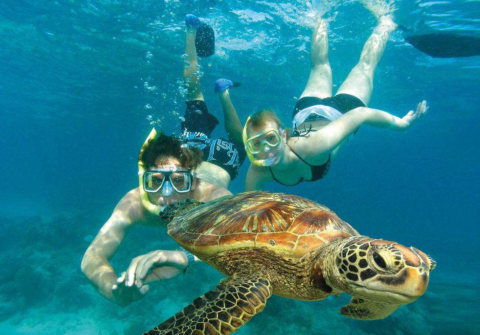 Mergulho Autônomo em Porto Seguro